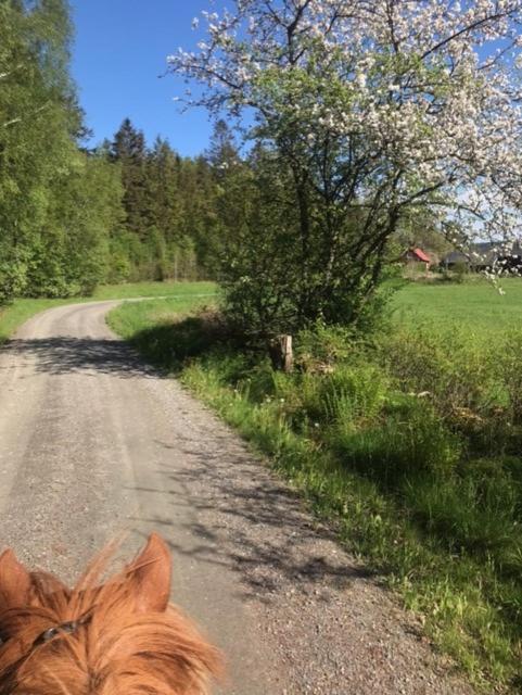 Stenlid - Med Naturen Och Lugnet I Fokus Veddige Exterior foto