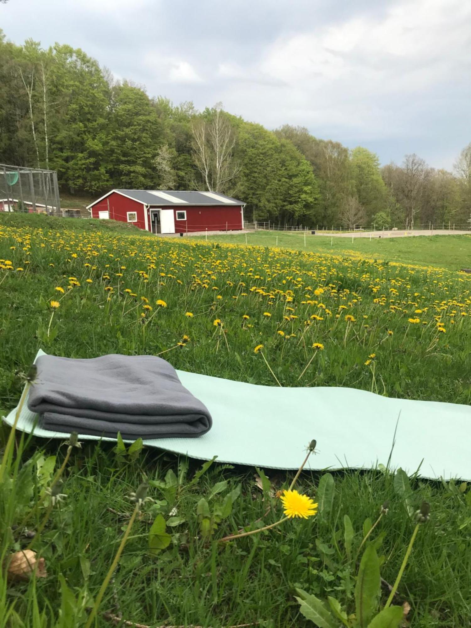 Stenlid - Med Naturen Och Lugnet I Fokus Veddige Exterior foto